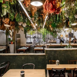 Read more about the article Mexico First Zero – Waste Restaurant Leads a Sustainability Revolution