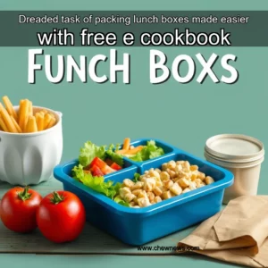 Read more about the article Dreaded task of packing lunch boxes made easier with free e  cookbook