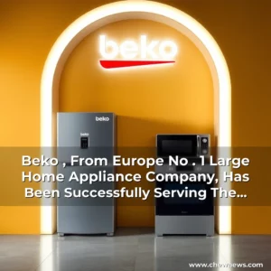 Artistic representation for Beko , From Europe No . 1 Large Home Appliance Company, Has Been Successfully Serving The Indian Market For The Past 15 Years.